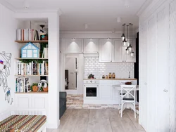 Kitchens in studio photo 26 sq.m.