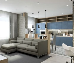 Small living room kitchen design in modern style