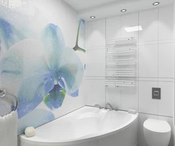 Bathroom design with panels