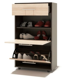Closed shoe cabinet in the hallway photo