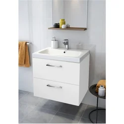 Sink with cabinet in the bathroom 50 photos