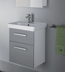 Sink with cabinet in the bathroom 50 photos