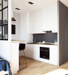 Studio Apartment Design 30 Sq M With Kitchen And Bedroom