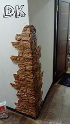 Kateqoriya 