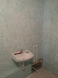 Hammomdagi qobiq qo'ng'izining fotosurati