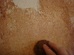 Photo Of Bark Beetle In The Bathroom