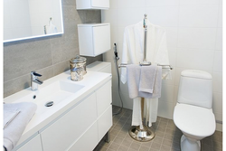 Bathroom interior with hygienic shower photo