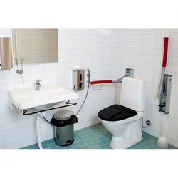 Bathroom interior with hygienic shower photo