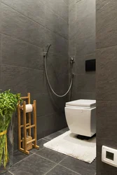 Bathroom Interior With Hygienic Shower Photo