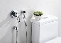Bathroom interior with hygienic shower photo