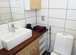 Bathroom Interior With Hygienic Shower Photo