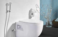Bathroom interior with hygienic shower photo