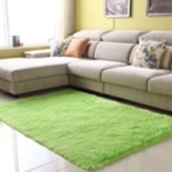 Divan bilan yashash xonasining ichki qismidagi gilamlar