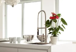 Indoor flowers in the kitchen design