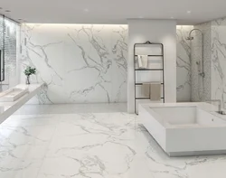 Porcelain tiles 60x60 in the bathroom design