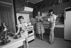 Photo Of A 60S Kitchen