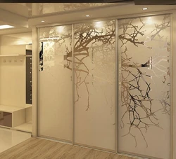 Sliding wardrobes in the hallway only photos built-in