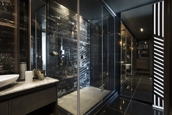 Modern showers in apartment design