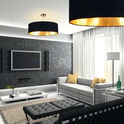Living room interior black gray