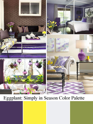 What Colors Go With Eggplant Color In The Kitchen Interior