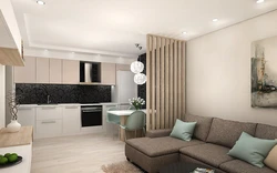 Kitchen living room design in a modern style 24 sq m