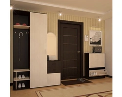 Wardrobe In The Hallway With A Shoe Rack In A Modern Style Photo