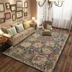 Modern carpets for the floor in the living room in the interior