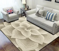 Modern carpets for the floor in the living room in the interior