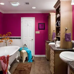 Photo of wall colors in the bathroom