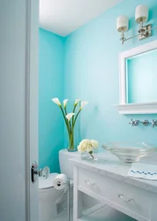 Photo of wall colors in the bathroom