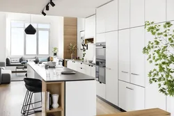 Kitchen interior color according to feng shui
