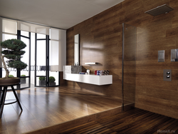 Bathroom made of laminate interior photo