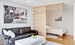 Zoning a room with curtains photo ideas for the bedroom and living room