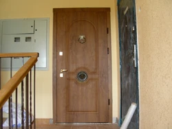 Photo of the entrance door to the apartment from the entrance