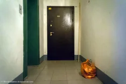Photo of the entrance door to the apartment from the entrance