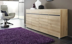 Large chests of drawers in the hallway photo
