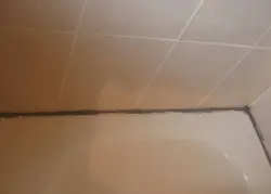 Акси ҳаммомҳои муштарак