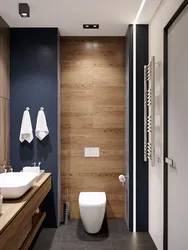 Interior design of bath and toilet in modern style