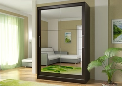 Sliding wardrobe in the hallway two-door with mirror design