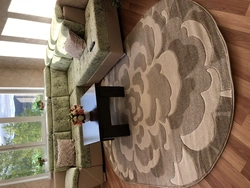Oval Carpet In The Living Room Interior