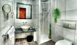 Bathroom interior with shower and bathtub and toilet