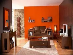 Гостиная Терракотового Цвета Фото