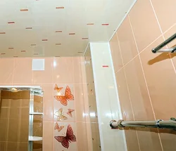 Ваннада құбырларды панельдер фотосуретімен қалай жасыруға болады