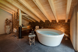 Wooden Bathroom Interior