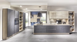 Kitchen design light concrete