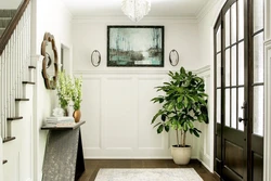 Plants in the hallway photo