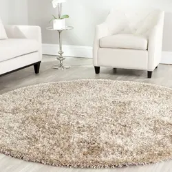 Round carpets in the living room interior photo