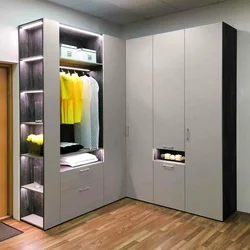 Built-in hinged wardrobes in the hallway photo design