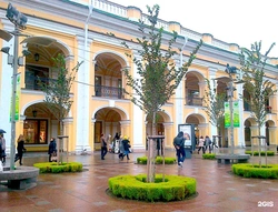 Gostiny Dvor дар акси Невский