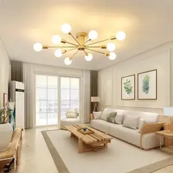 Lamps On The Ceiling Photo Living Room